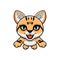 Cute sand cat cartoon flying