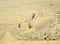 Cute sand sculpture representing a human laying on the beach with face down. Aruba island. Caribbean.