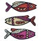 Cute sardine fish vector illustration. Decorative nautical life clipart