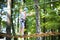 Cute school boy in a climbing activity park