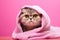 Cute scottish fold kitten wrapped in a towel on pink background. Washing pets. AI generated