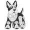 Cute scottish terrier dog design