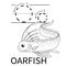 Cute Sea Animal Alphabet Series. O is for Oarfish. Vector cartoon character design illustration