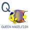 Cute Sea Animal Alphabet Series. Q is for Queen angelfish.