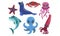 Cute Sea Creatures Collection, Ocean Animals and Fishes, Dolphin, Seal, Crab, Octopus, Starfish, Squid Vector