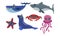 Cute Sea Creatures Collection, Ocean Animals and Fishes, Whale, Shark, Seal, Crab, Octopus, Starfish Vector Illustration