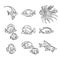 Cute sea fishes outlined isolated on a white background