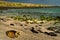 Cute sea lions sleeping in La Loberia beach, San