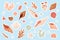 Cute sea shells sticker set, beach or underwater tropical marine animals collection