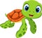 cute sea turtle pictures