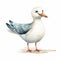 Cute Seagull Watercolor Illustration On White Background