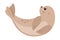 Cute Seal with Beige Fur and Fins Rolling on Its Back Vector Illustration