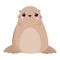 Cute Seal with Beige Fur and Fins Sitting Vector Illustration