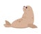 Cute Seal with Beige Fur and Fins Sitting Vector Illustration