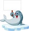 Cute seal cartoon holding blank sign