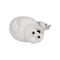 Cute seal pup lying on its back. Marine mammal with gray coat and black eyes. Fauna of Arctic ocean. Flat vector icon