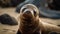 Cute seal pup resting on sandy arctic coastline, looking at camera generated by AI