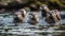 Cute seal trio swimming in natural beauty generated by AI