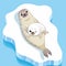 Cute seals family cartoon character design.