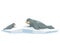 Cute seals family cartoon character design. Small and big gray sea lion lie together on ice floe