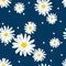 Cute seamless pattern of white daisies flower in doodle style and tiny circle on blue background