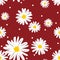 Cute seamless pattern of white daisies flower in doodle style and tiny circle on red background