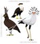 Cute Secretary Bird Eagle Caracara Set Cartoon Vector