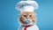 Cute serious ginger cat in white chef\\\'s hat on blue background. Red cat in the form of cook. Copy space.