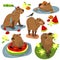 Cute set of capybaras. Funny capybara characters are swimming in the water, taking a shower, walking, relaxing