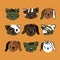 Cute set of vector dogs, puppies, cats, kittens. Hand drawn isolated animals heads in green, brown, black, white colors on yellow