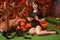 Cute sexy pin up girl in black outfit relax by sitting on the grass with background of autumn leaves. black hair witch