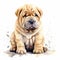 Cute Shar-pei puppy, isolated on white background. Digital watercolour illustration