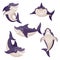 Cute shark. Dangerous fish, ocean creature predator. Swimming smiling sharks mascot. Isolated vector characters