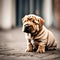 Cute sharpei puppy - ai generated image