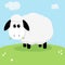 Cute Sheep