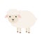 Cute sheep character. Cartoon farm animal. Vector illsutration