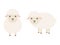 Cute sheep character. Cartoon farm animal. Vector illsutration