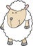 Cute sheep Vector