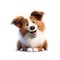 Cute Shetland Sheepdog dog - generative AI, AI generated