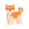 Cute Shiba Inu Dog, Adorable Funny Japan Pet Animal Cartoon Character Vector Illustration