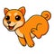 Cute shiba inu dog cartoon running