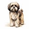 Cute Shih Tzu Dog Vector Illustration With Detailed Shading