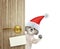 Cute shitzu dog in red christmas santa claus hat looking out the door entrance at home with empty card. Isolated on