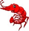 Cute shrimp cartoon