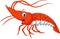 Cute shrimp cartooncartoon