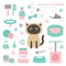 Cute siamese cat in flat design style. Suff set. Paw print, scrathing rope post, bed, shampoo, brush, collar, clew ball, food