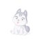 Cute Siberian husky puppy cartoon character. Vector illustration on white background