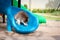 Cute siberian husky puppy in the playground. dog jumps on the playground
