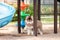 Cute siberian husky puppy in the playground. dog jumps on the playground