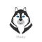 Cute Siberian Husky standing front view dog, vector illustration
